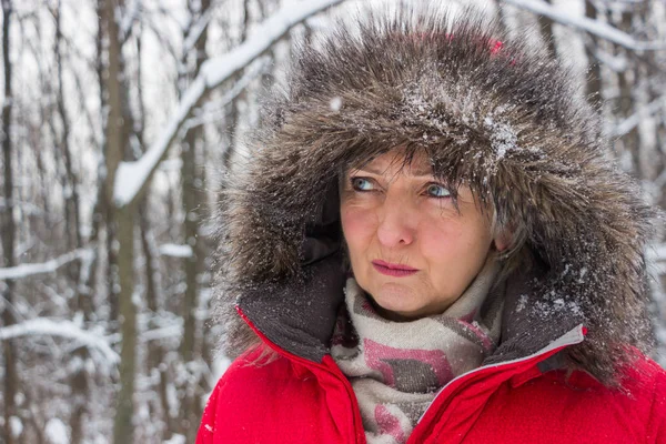 Portret ładne kobiety wyższego szczebla w drewno snow Zima w czerwonym płaszczu — Zdjęcie stockowe