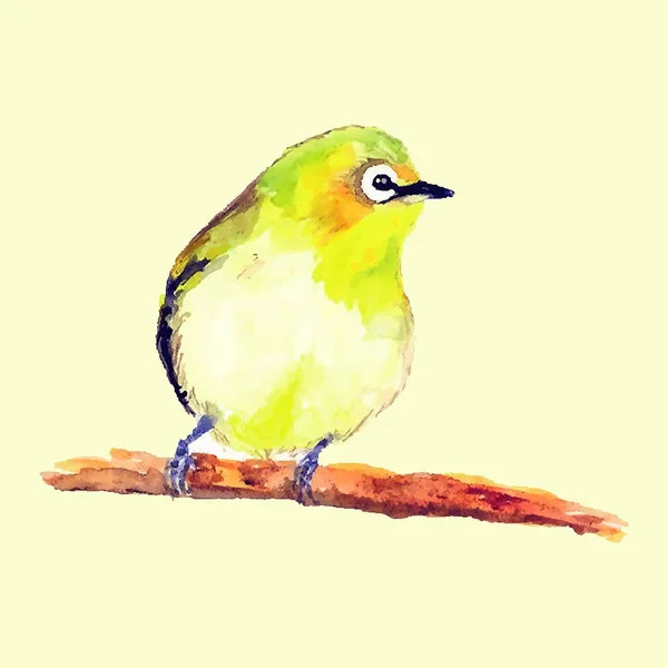 Oiseau Jaune Sur Une Branche Faite Aquarelle — Image vectorielle