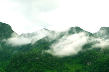 Tayland kışın sisli sis dağlarının görünümü.
