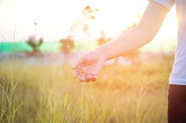 Kadın el meadows, yeşil çim dokunmadan