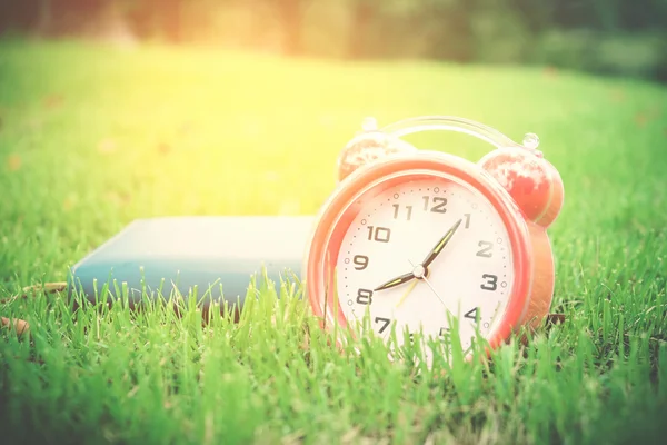 공원에서 푸른 잔디에 알람 시계 — 스톡 사진
