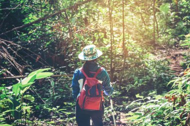 Hiking genç turist kadın ve backpacker orman seyahat konsantrasyon
