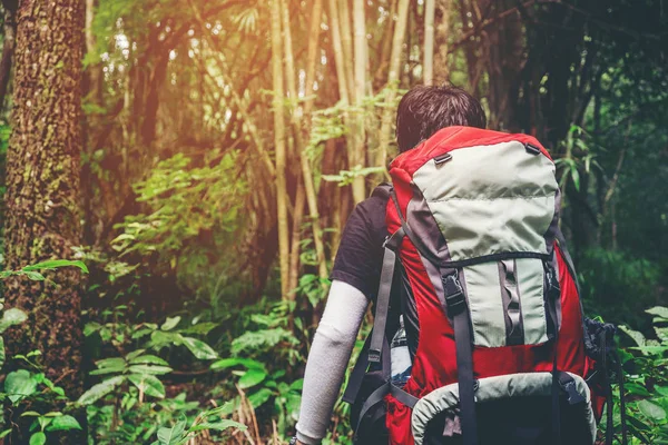 Turist iz sırt çantası cr ile seyahat adam ormandaki hiking