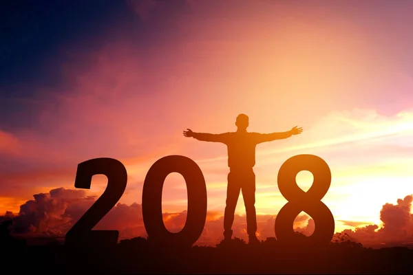 Genç iş adamı 2018 yeni yıl Happy siluet — Stok fotoğraf