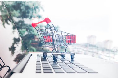 Alışveriş online alışveriş sepeti ve kredi kartı kavramı ile