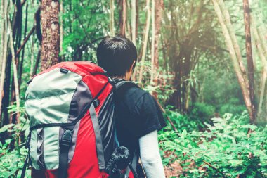 Turist iz sırt çantası cr ile seyahat adam ormandaki hiking