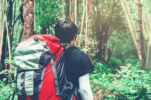 Turist iz sırt çantası cr ile seyahat adam ormandaki hiking