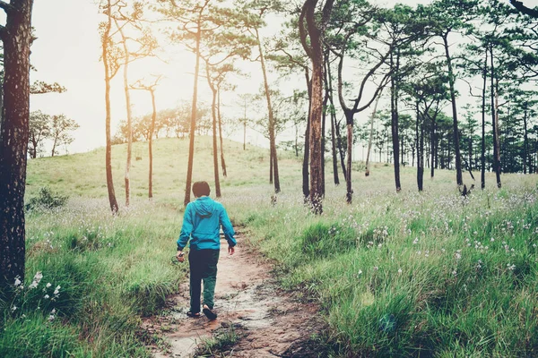 Sentiero turistico escursionismo nella foresta Traveler Man con zaino cr — Foto Stock