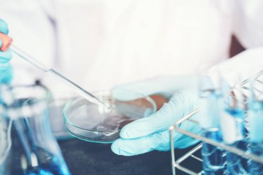 Petri kabına için kimyasal sıvı laboratuvar cam la bırakarak bilim adamı