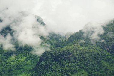 Dağlık yağmur sis ve orman manzara