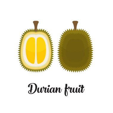 Vektör düzenlenebilir durian meyve