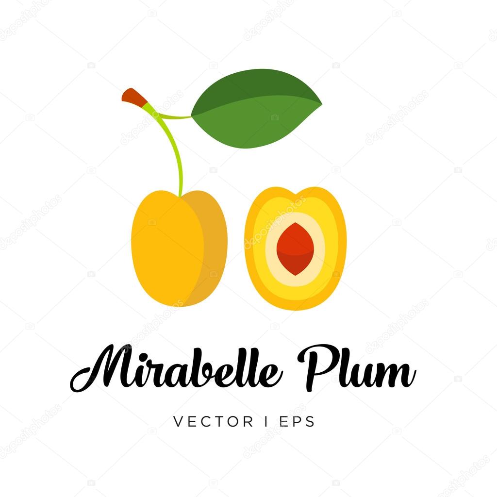 Yellow Mirabelle plum vector editable image
