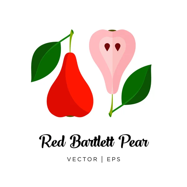 Imagem editável vetorial Red Bartlett Pear —  Vetores de Stock