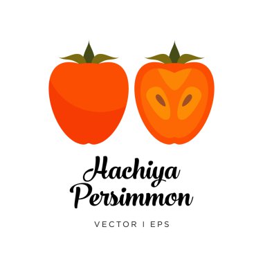 Hachiya type Persimmon vector editable image clipart