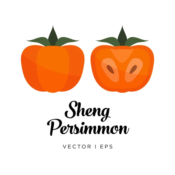 Tipo de Sheng Imagem editável do vetor de Persimmon —  Vetores de Stock