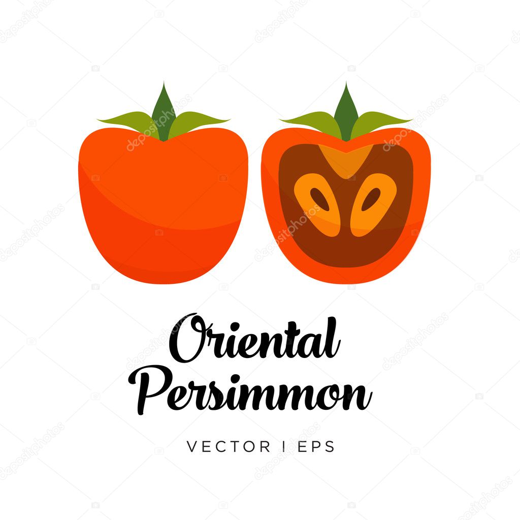 Oriental brown Persimmon vector editable image