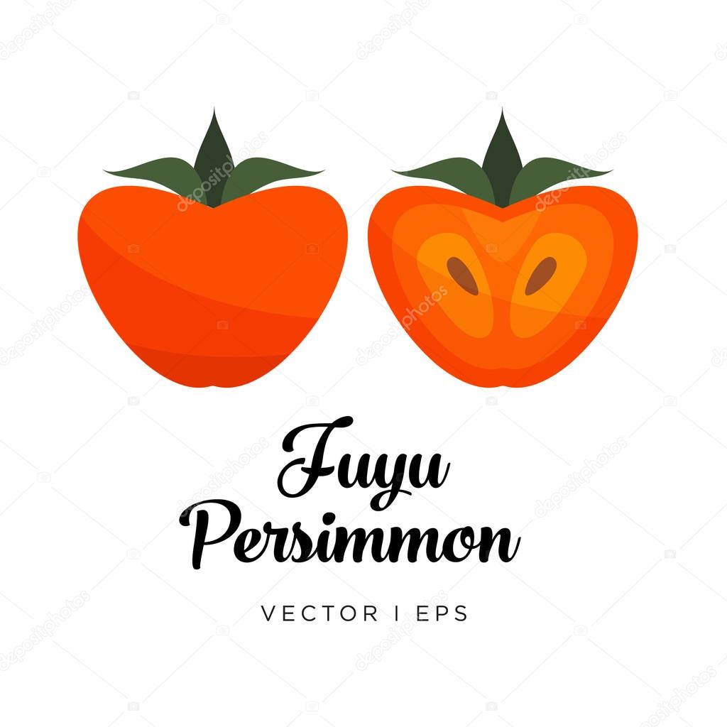 Fuyu Persimmon vector editable image