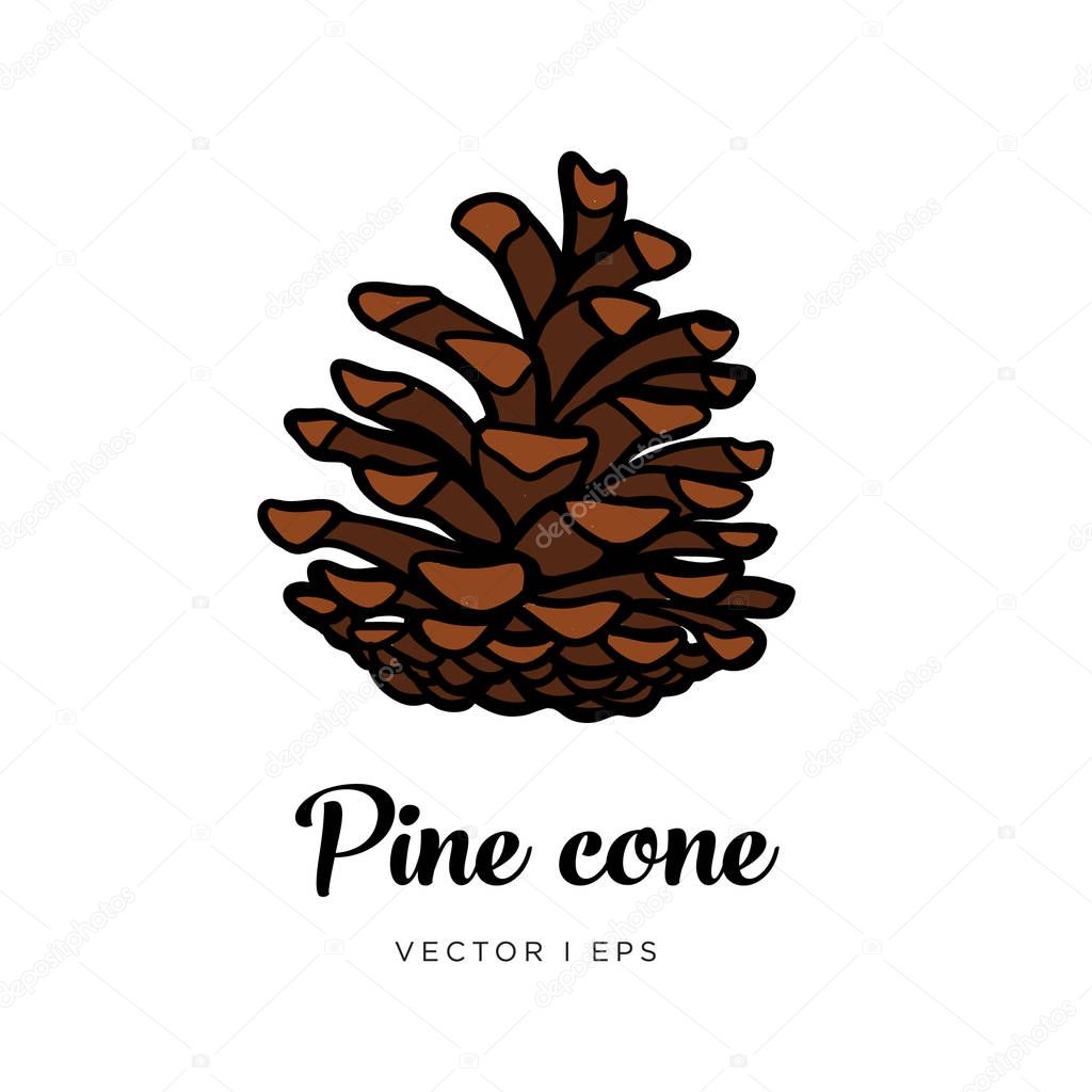 Vector editable  image of the new year or Christmas brown Pine cone