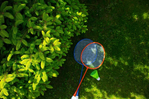 Дві бадмінтонні ракетки на сонячній яскравій траві зелений свіжий фон — стокове фото
