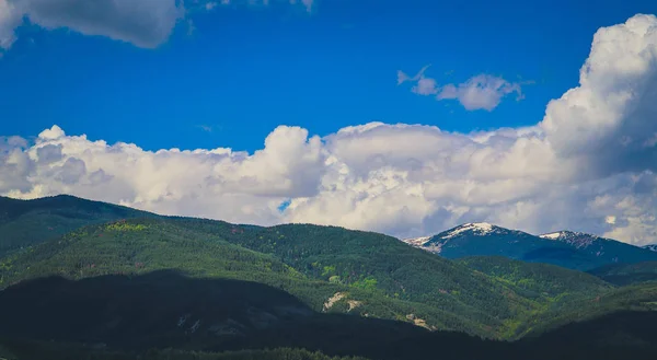 Фотографія зображення красивого барвистого дивовижного гірського лугового парку — стокове фото