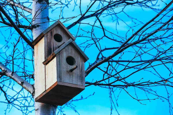 Casa de pájaros en abedul, fondo azul cielo. Caja de anidación en una t —  Fotos de Stock