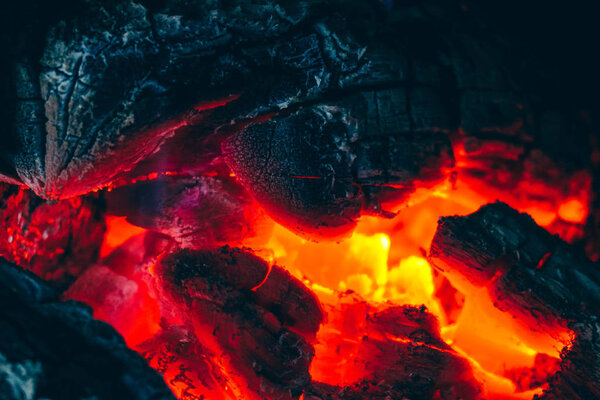 Colorful fire flame, burning wood at the fireplace. Firewood log