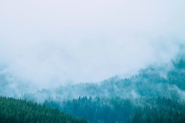 Belles montagnes mystiques brumeuses. Nuages de brouillard au pin mon — Photo