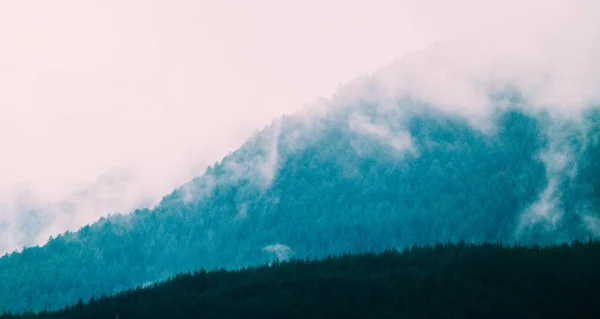 美しい霧の神秘的な山。霧の松の木の雲私 — ストック写真