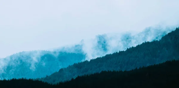 Belles montagnes mystiques brumeuses. Nuages de brouillard au pin mon — Photo