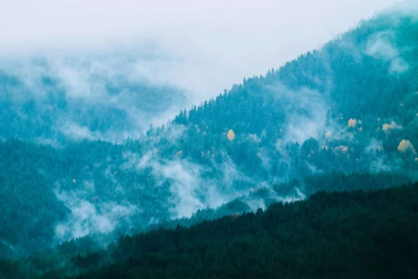 Hermosas montañas místicas brumosas. Nubes de niebla en el pino mi —  Fotos de Stock