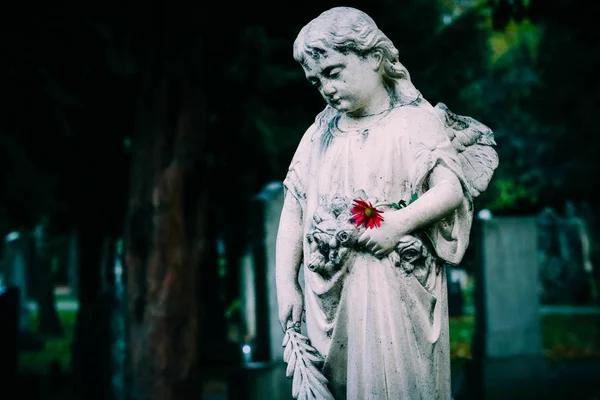 Mystic old statue of the praying angel. Sad mossy sculpture of t — Stock Photo, Image