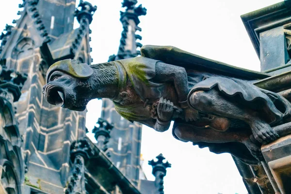 체코 건축, 무서운 석상 조각, 고딕 양식의 사원 데코 — 스톡 사진