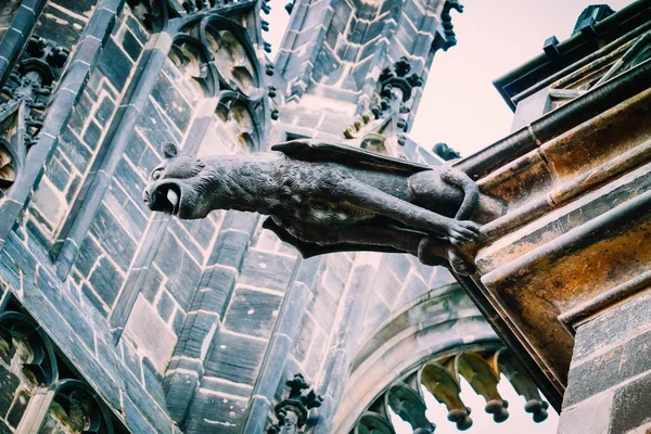 Czech architecture, scary cat gargoyle sculpture, gothic temple