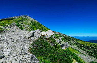 Amazing alpine mountain landscape, sunny hiking trail to the top
