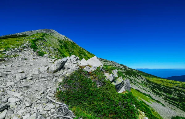 Дивовижний альпійський гірський пейзаж, сонячна пішохідна стежка на вершину — стокове фото