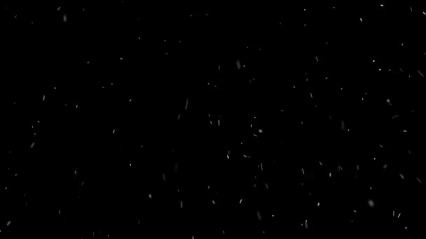 Śnieg cząstek nakładki pętli — Wideo stockowe