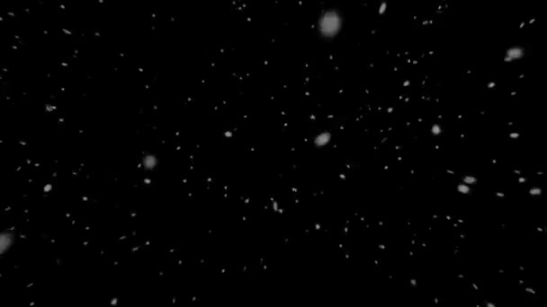 Χιόνι σωματίδια επικάλυψης βρόχο — Αρχείο Βίντεο