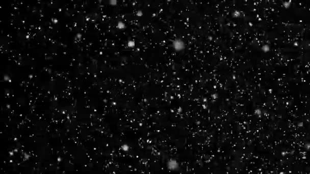 Boucle de recouvrement de particules de neige — Video