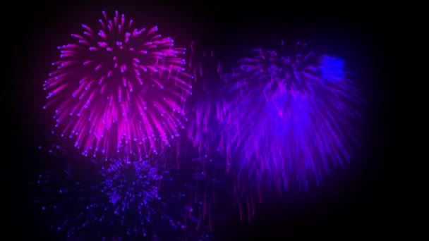 Fireworks looping combination on black background — Stock video