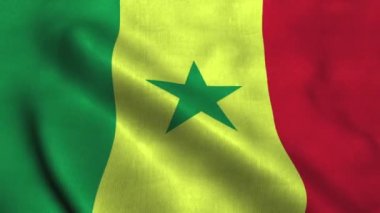 Senegal bayrağı rüzgarda dalgalanıyor. Senegal Cumhuriyeti Ulusal Bayrağı