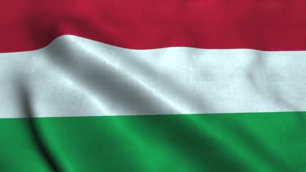 Угорський прапор махає вітром. Національний прапор Угорщини — стокове відео