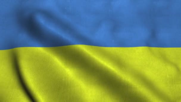 Die ukrainische Flagge weht im Wind. Nationalflagge der Ukraine — Stockvideo