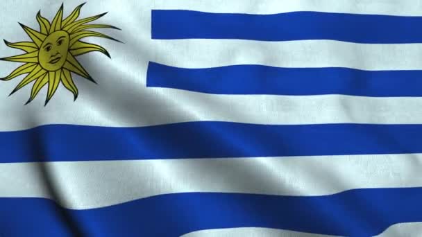 Die uruguayische Flagge weht im Wind. Nationalflagge orientalische republik uruguay — Stockvideo