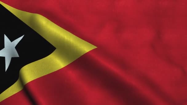 Bandeira de Timor Leste acenando ao vento. Bandeira nacional República Democrática de Timor-Leste — Vídeo de Stock