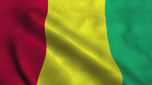 Drapeau de Guinée agitant dans le vent. Drapeau national de Guinée — Video