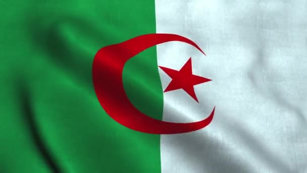 阿尔及利亚国旗飘扬。阿尔及利亚民主人民共和国国旗 — 图库视频影像