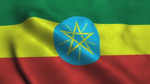 Ethiopia flag waving. National flag Federal Democratic Republic of Ethiopia — 비디오