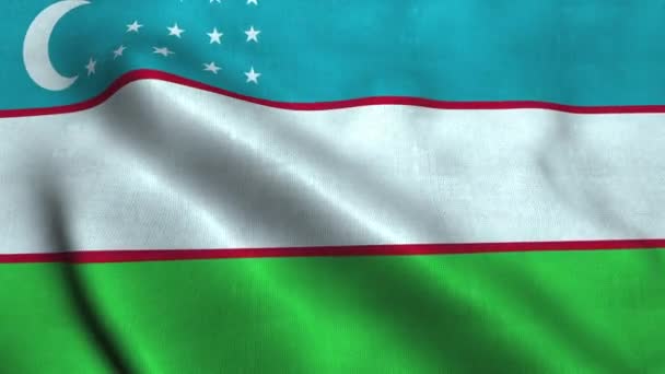 Флаг Узбекистана развевается на ветру. Государственный флаг Узбекистана — стоковое видео