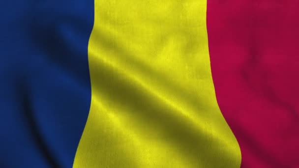 Drapeau tchadien agitant le vent. Drapeau national République du Tchad — Video