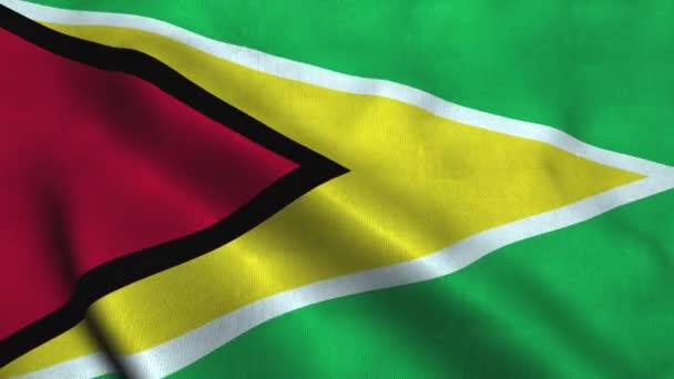 ガイアナのフラグは、風に手を振る。国旗 — ストック動画